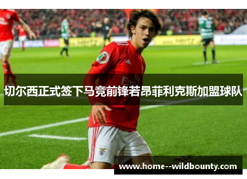 切尔西正式签下马竞前锋若昂菲利克斯加盟球队