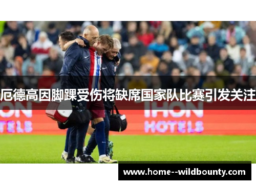 厄德高因脚踝受伤将缺席国家队比赛引发关注