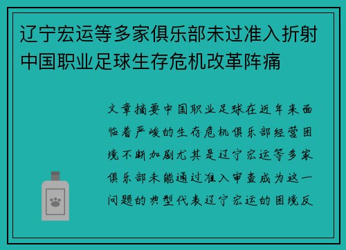 辽宁宏运等多家俱乐部未过准入折射中国职业足球生存危机改革阵痛