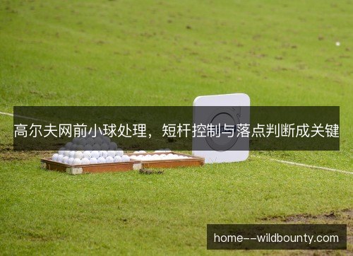 高尔夫网前小球处理，短杆控制与落点判断成关键